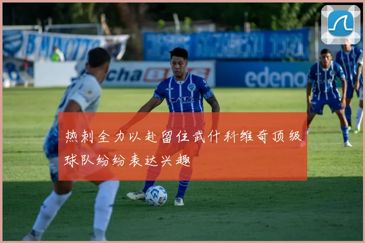 热刺全力以赴留住武什科维奇顶级球队纷纷表达兴趣