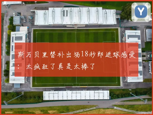 斯万贝里替补出场18秒即进球感受：太疯狂了真是太棒了